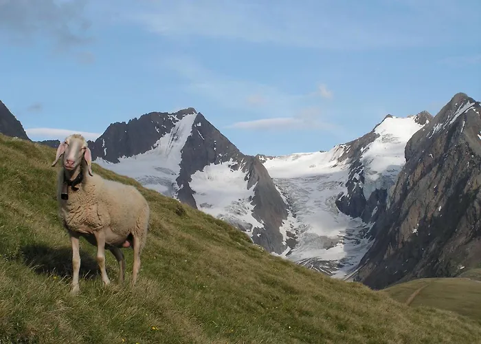 Venter Bergwelt Appartamento Vent